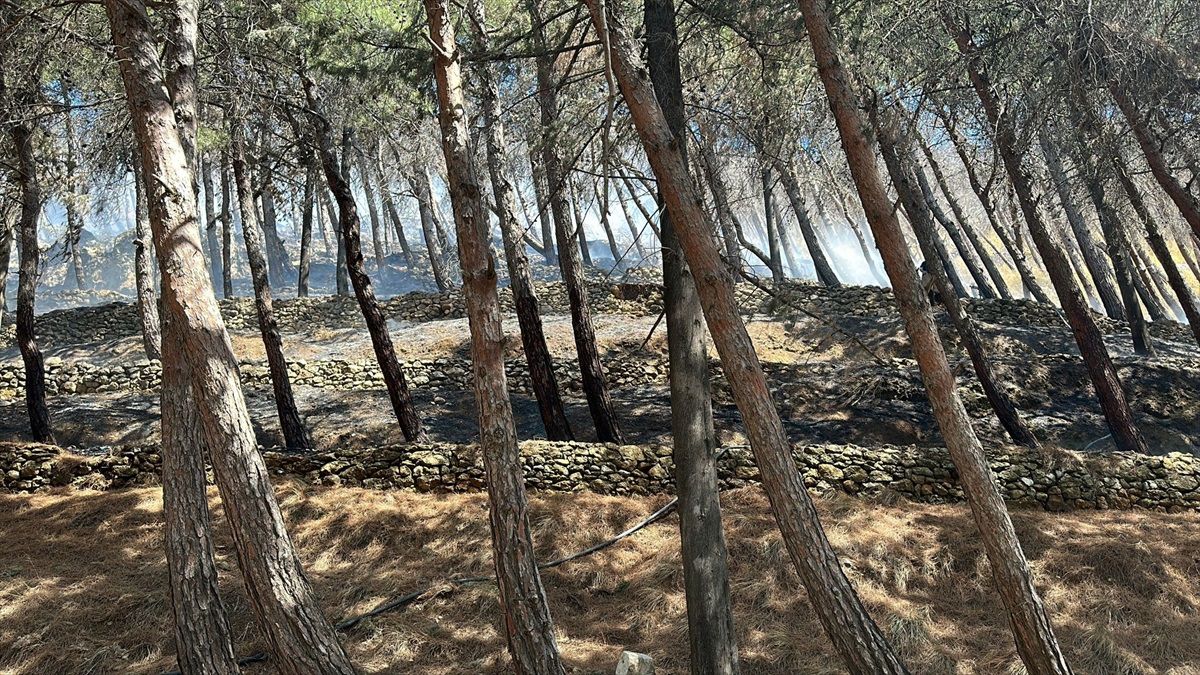 Hatay\'da çıkan orman yangını büyümeden söndürüldü