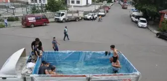 KARS'ta Sıcaktan Bunalan Esnaf Kamyon Dorsesini Havuza Çevirdi
