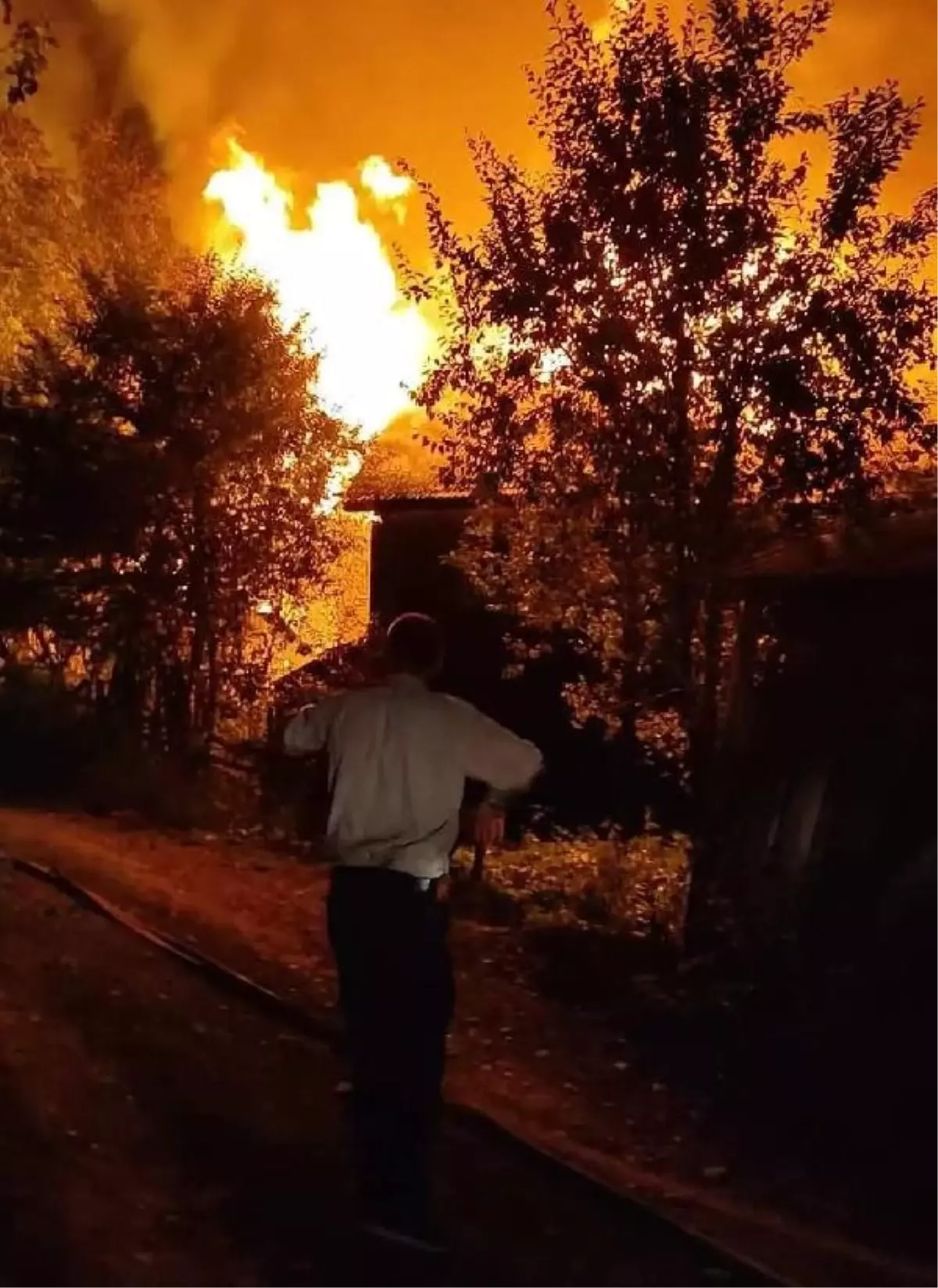 Kastamonu'da çıkan yangında 7 ev küle döndü