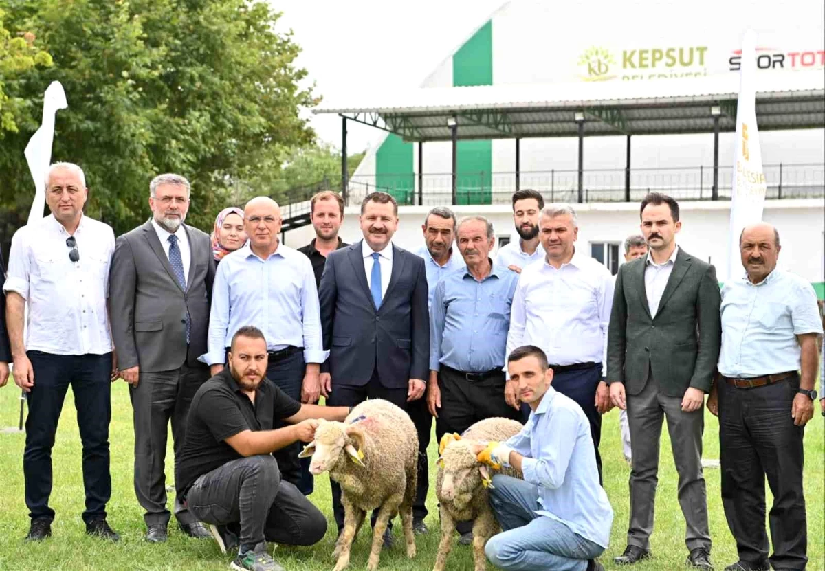 Balıkesir Büyükşehir Belediyesi, Kepsut\'ta 85 Üreticiye 585 Küçükbaş Hayvan Desteği Sağladı