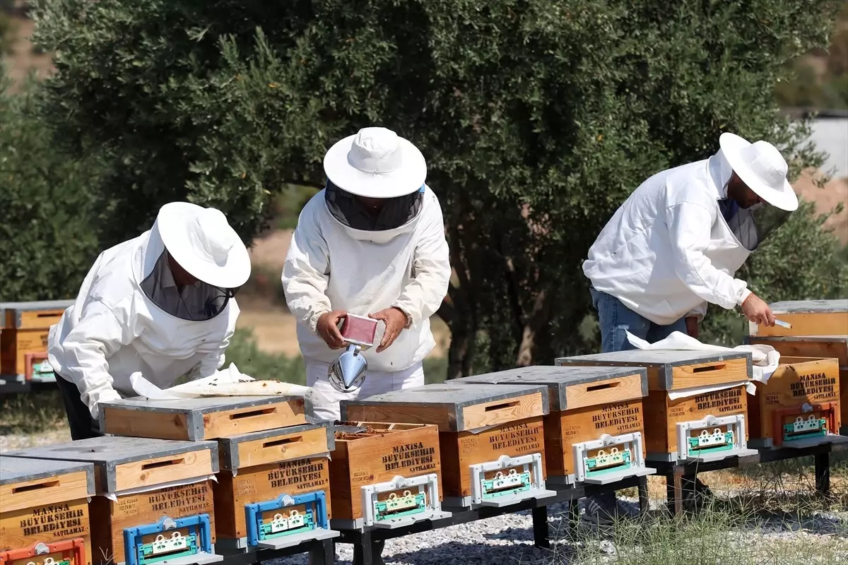 Manisa\'da Arıcılık Eğitim ve Ana Arı Üretim Merkezi Açıldı