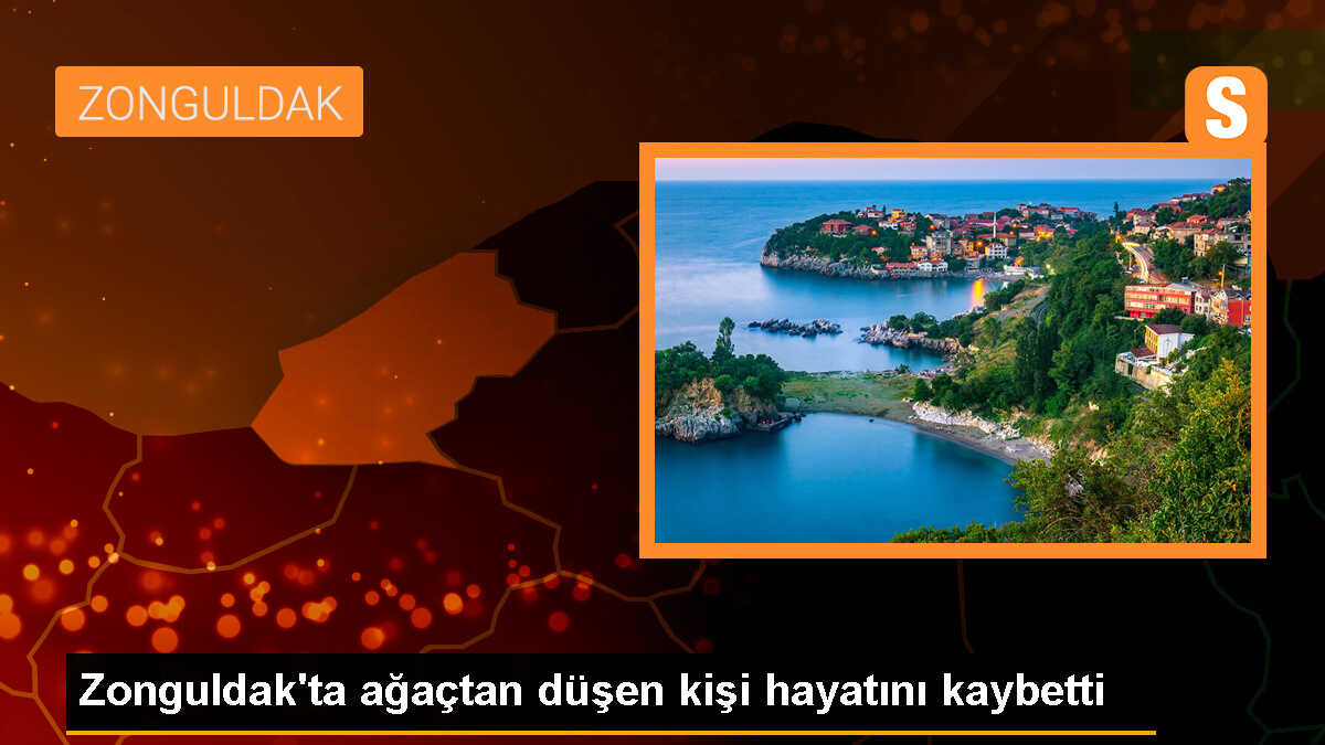 Zonguldak\'ta erik ağacından düşen kişi hayatını kaybetti