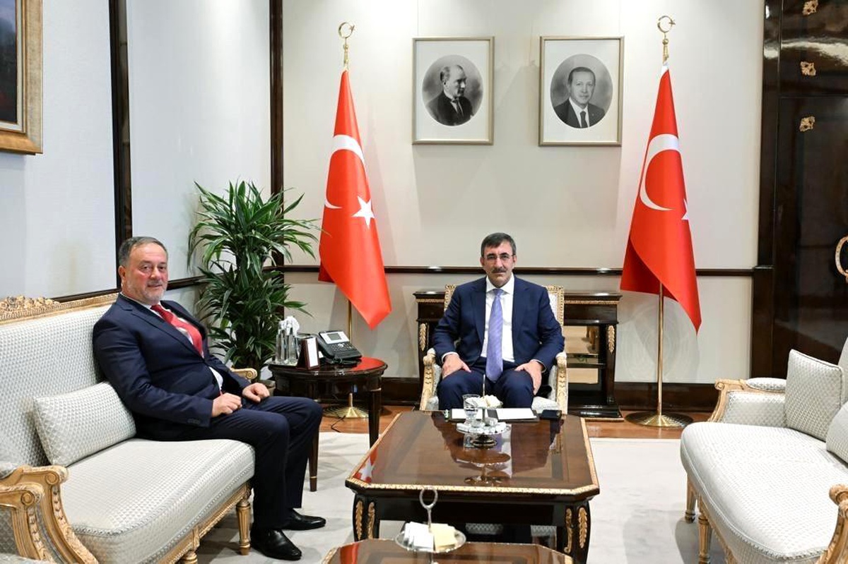 Mardin Belediye Başkanı Mehmet Tatlıdede, Cumhurbaşkanı Yardımcısı Cevdet Yılmaz\'ı ziyaret etti