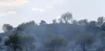 Batman'ın Gercüş ilçesinde çıkan yangında 75 dönüm alan zarar gördü