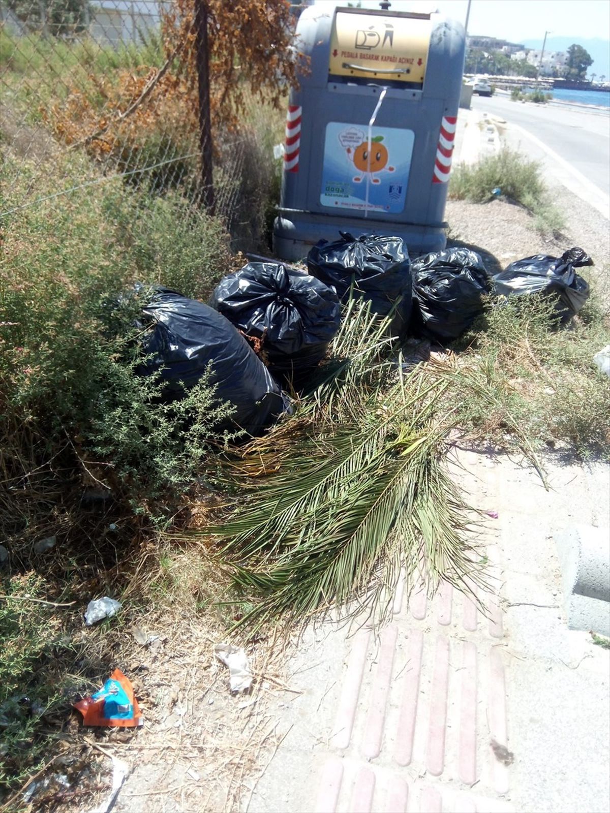 Bodrum Belediyesi, Çöplerin Konteyner Kenarlarına Atılmasını Tehlike Olarak Değerlendiriyor