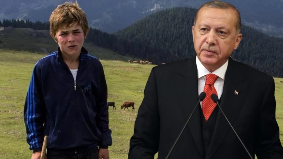 Cumhurbaşkanı Erdoğan, 6 yıl önce şehit edilen Eren Bülbül ve Ferhat Gedik\'i andı