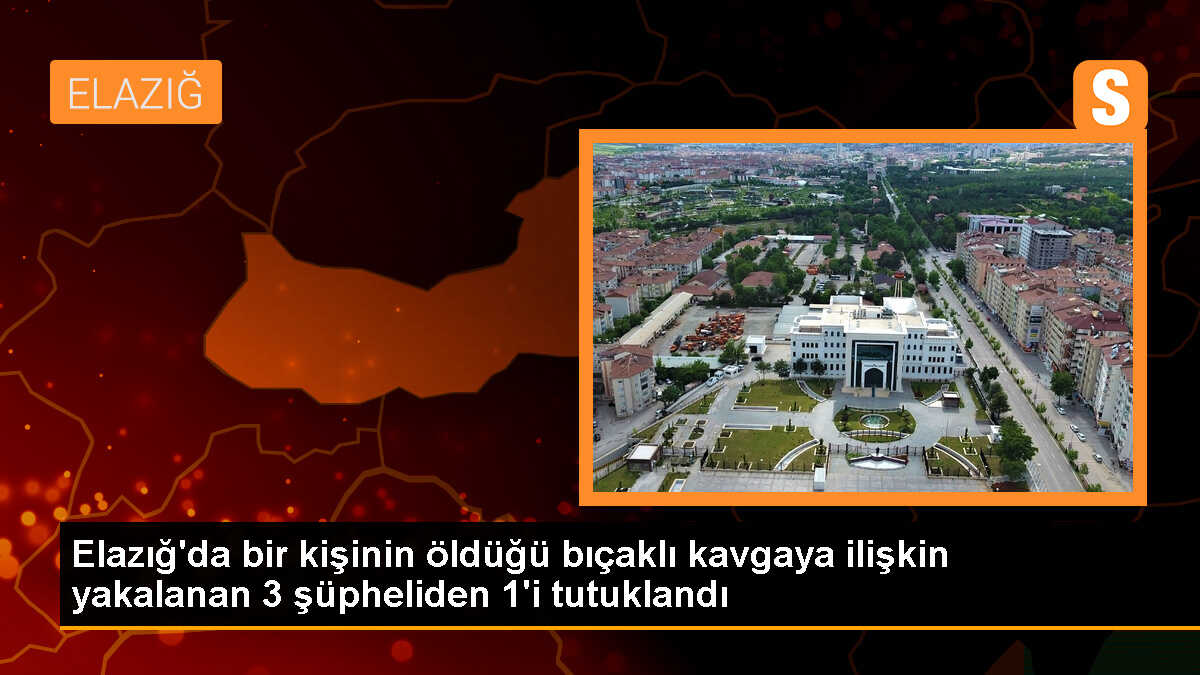 Elazığ\'da bıçaklı kavgada 1 kişi hayatını kaybetti, 1 kişi tutuklandı