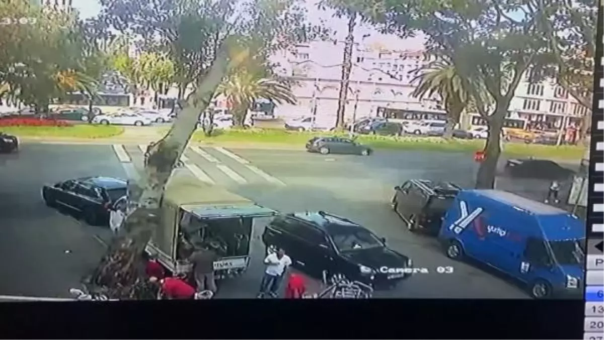 Fatih\'te Kamyonetin Üzerine Ağaç Devrildi