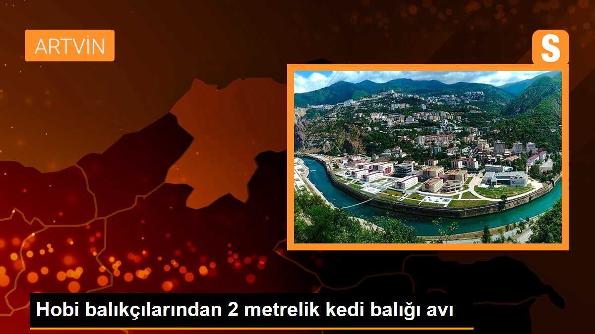 Hobi balıkçılarından 2 metrelik kedi balığı avı