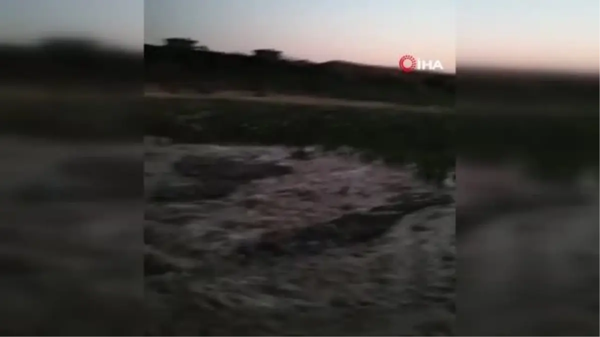 Kozluk\'ta su kanalı patladı, tütün tarlası sular altında kaldı