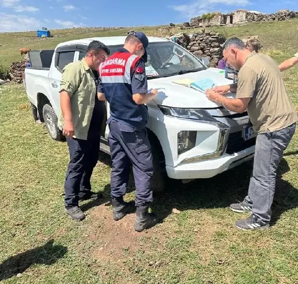 Yavru kurt için 'satılık' ilanı veren vatandaş bedelini ağır ödedi