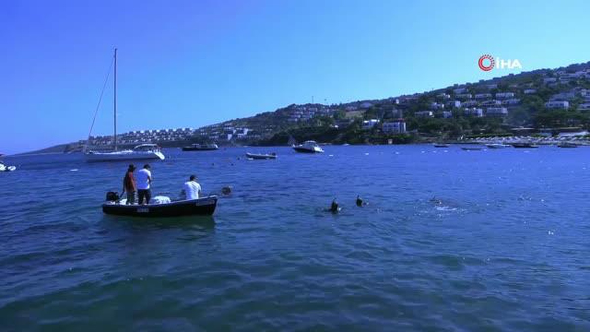 Bodrum\'da 76 kilogram atık kıyıya çıkarıldı