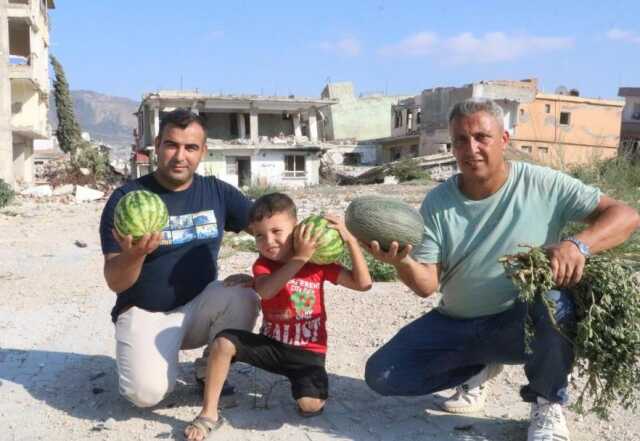 Deprem enkazında yetişen kavun ve karpuzlarına hasasına başlandı Deprem enkazında yetişen kavun ve karpuzlarına hasasına başlandı