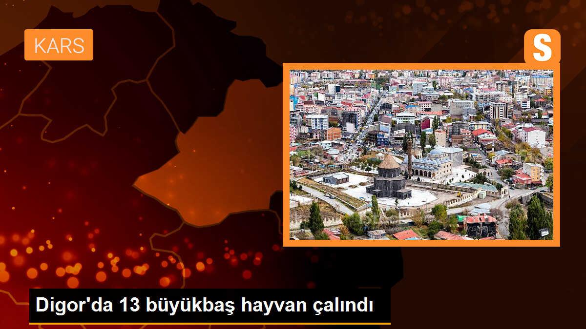 Digor\'da 13 Büyükbaş Hayvan Çalındı