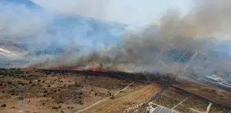 İzmir'de otluk ve makilik alanda yangın