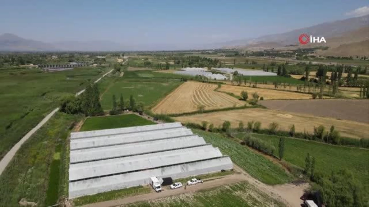 Erzincan\'da Seracılık Sektörü Büyük Gelişme Gösteriyor