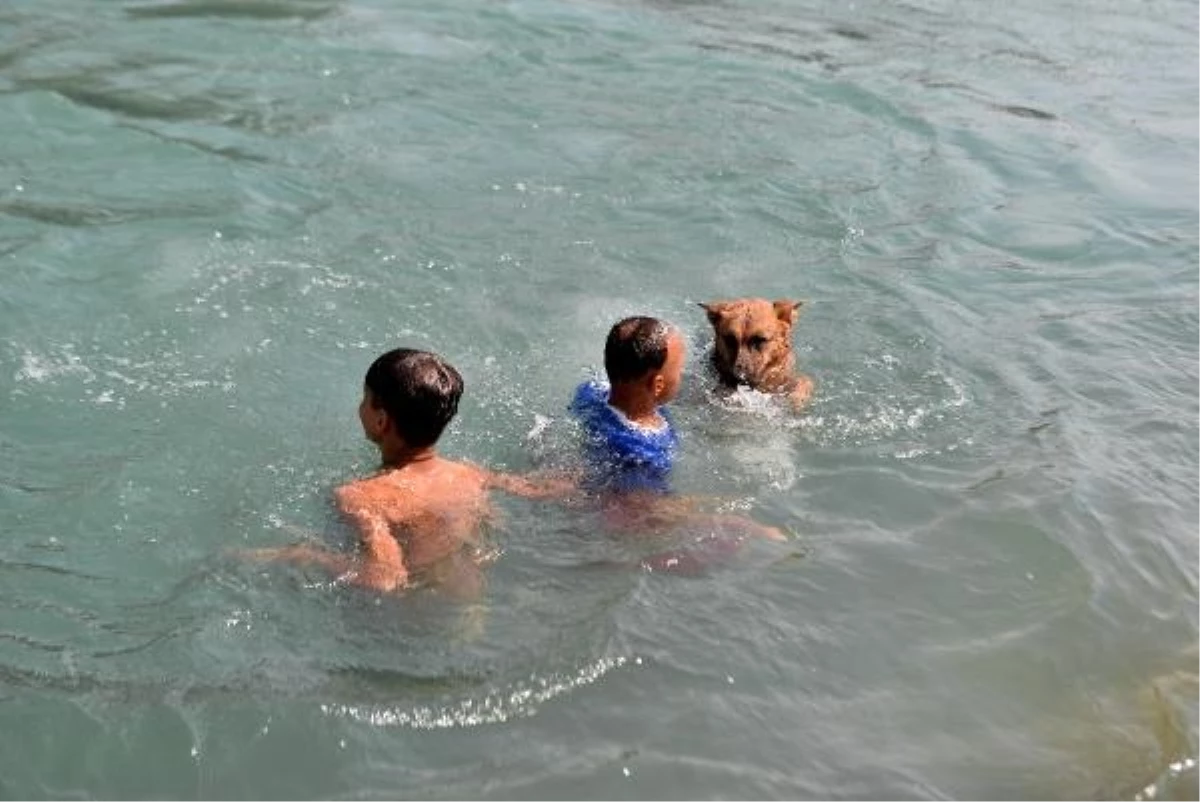 Adana\'da Termometreler 54 Dereceyi Gösterince Çocuk ve Gençler Yine Ölümü Hiçe Sayarak Yüzdü