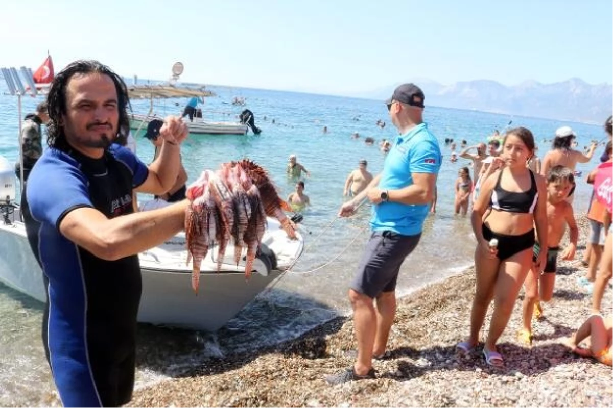 Antalya\'da Aslan Balığı Avcılığı Yarışması Düzenlendi