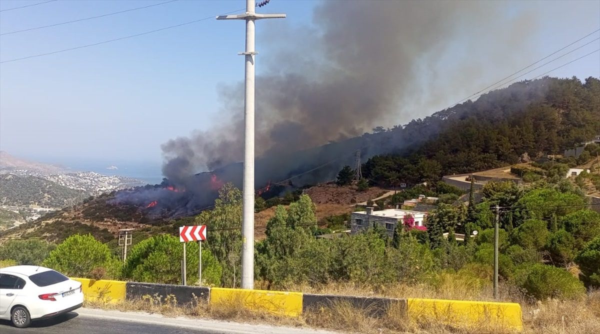 Bodrum\'da Makilik Alanda Çıkan Yangın Söndürüldü