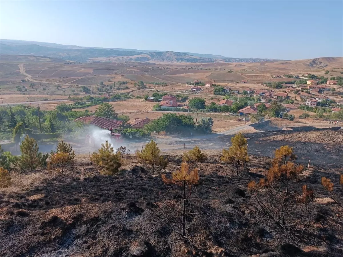 Çorum\'da 6 dönüm ağaçlık alan yandı