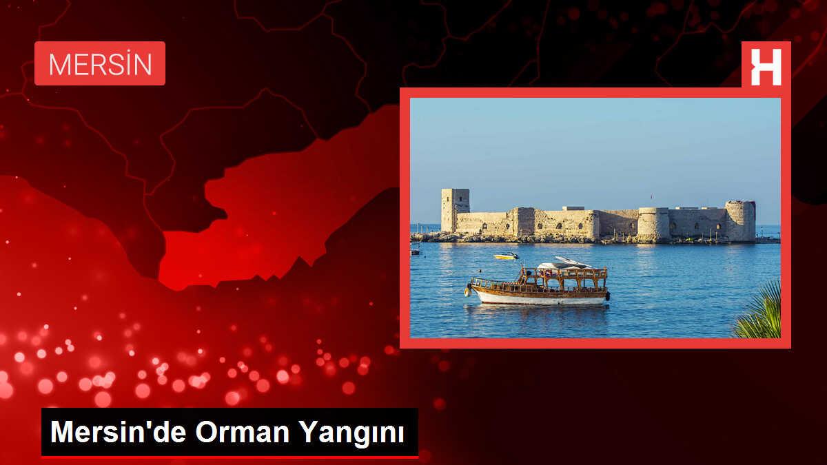 Erdemli'de Ormanlık Alanda Yangın Çıktı