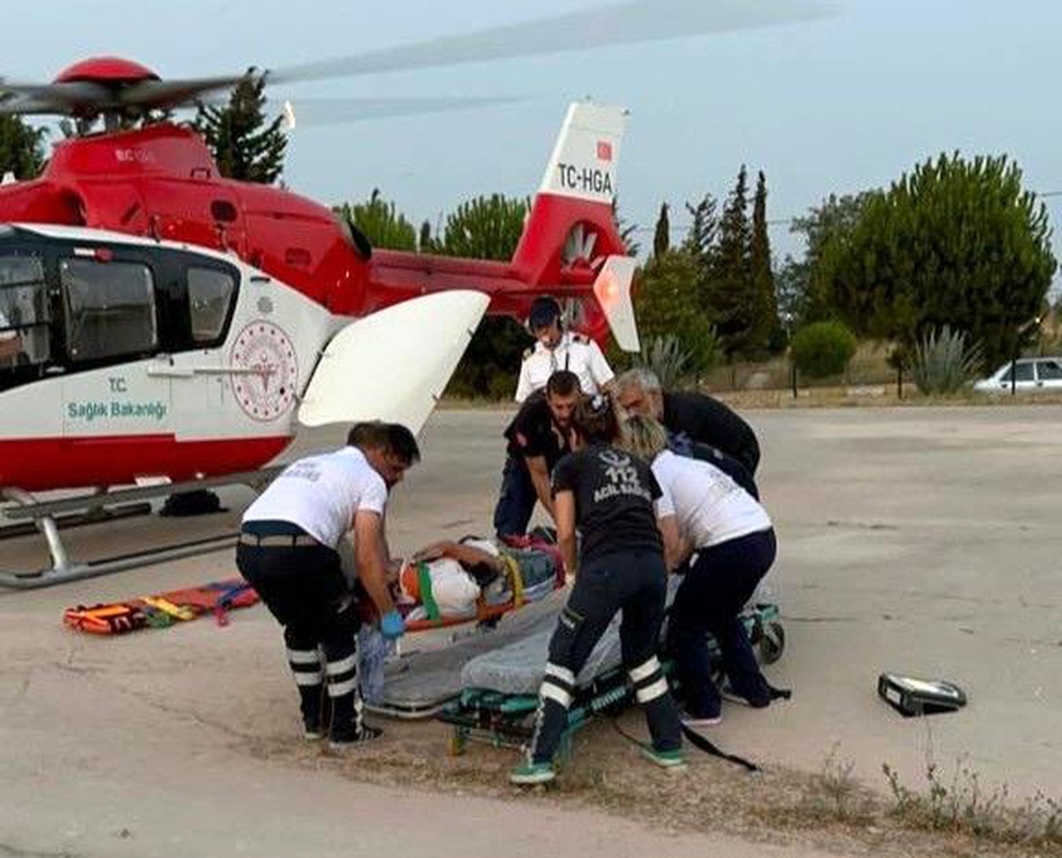 Balıkesir\'de Ekinlik adasında ağaçtan düşen kişi yaralandı