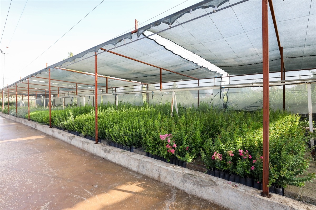 Diyarbakır Orman Fidanlık Müdürlüğünde Fidanlar Sıcaklara Karşı Korunuyor