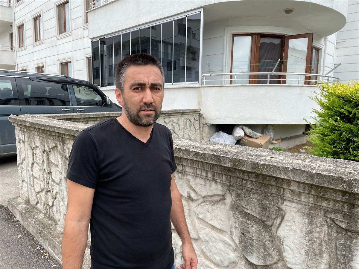 Kocaeli\'de sahipsiz köpeklerin saldırısı sonucu kedi öldü