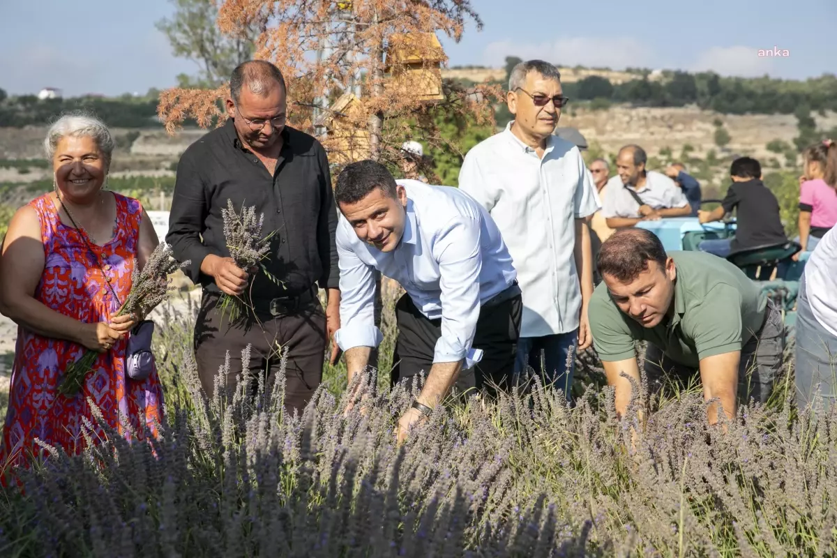 Mersin Büyükşehir\'in Desteklediği Çaltıbozkırlı Üreticiler, 5. Kez Hasat Mutluluğu Yaşadı