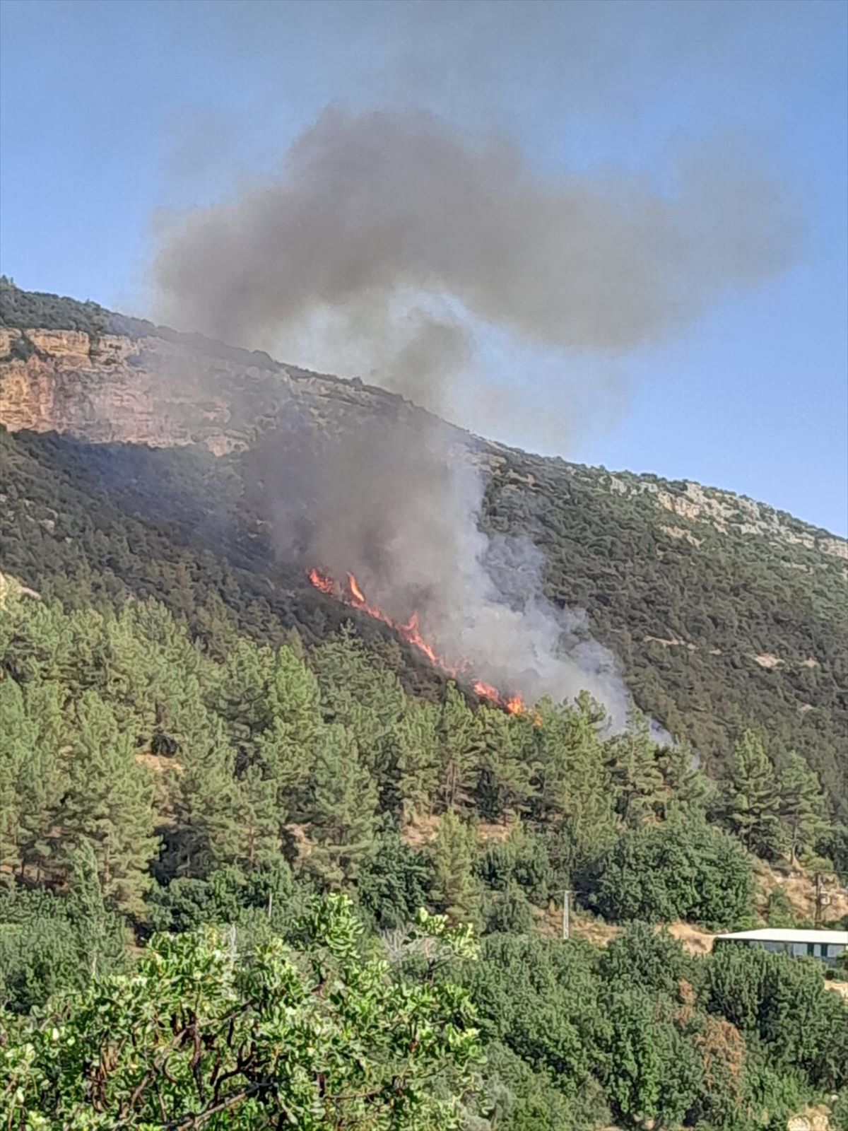 Erdemli\'de Orman Yangınına Havadan ve Karadan Müdahale Ediliyor