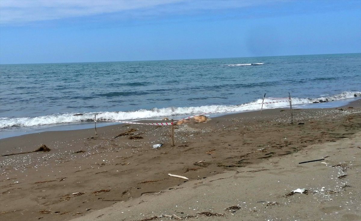 Samsun\'un Çarşamba ilçesinde erkek cesedi bulundu