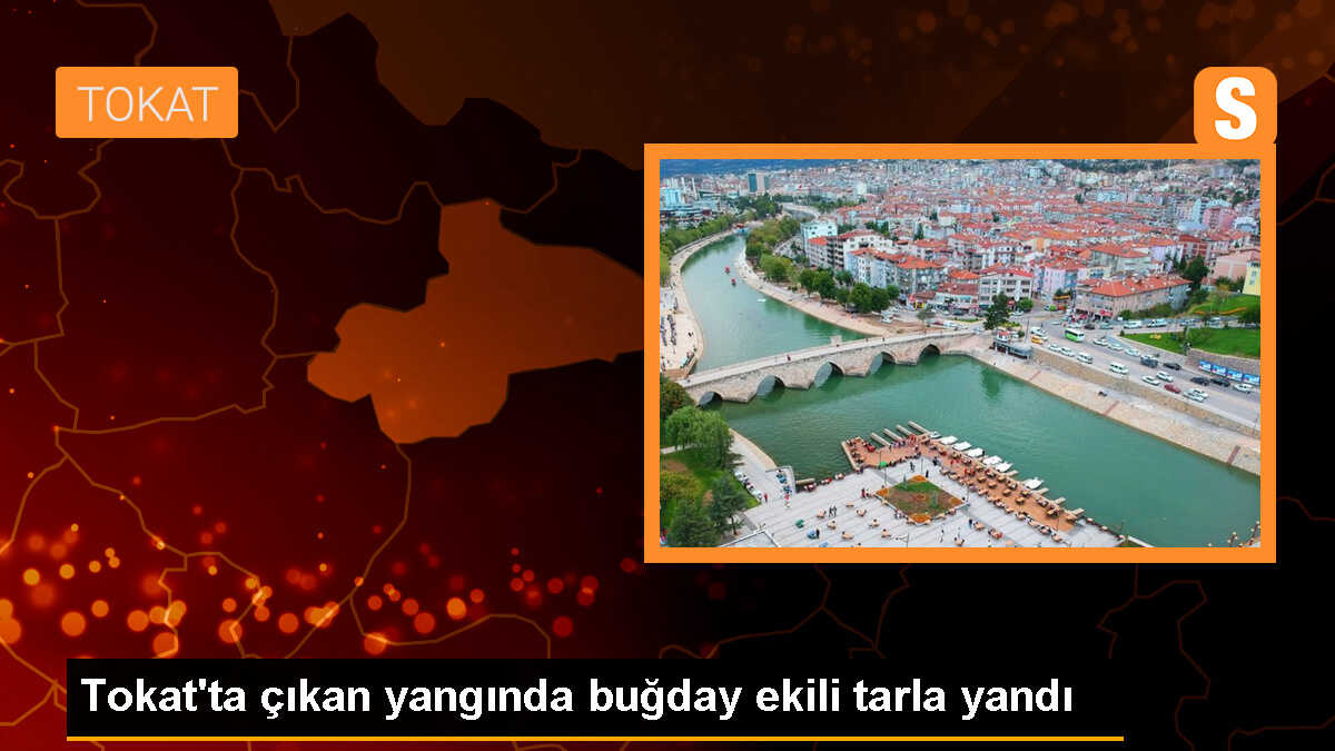 Tokat\'ın Madas köyünde çıkan yangında buğday ekili arazi yandı
