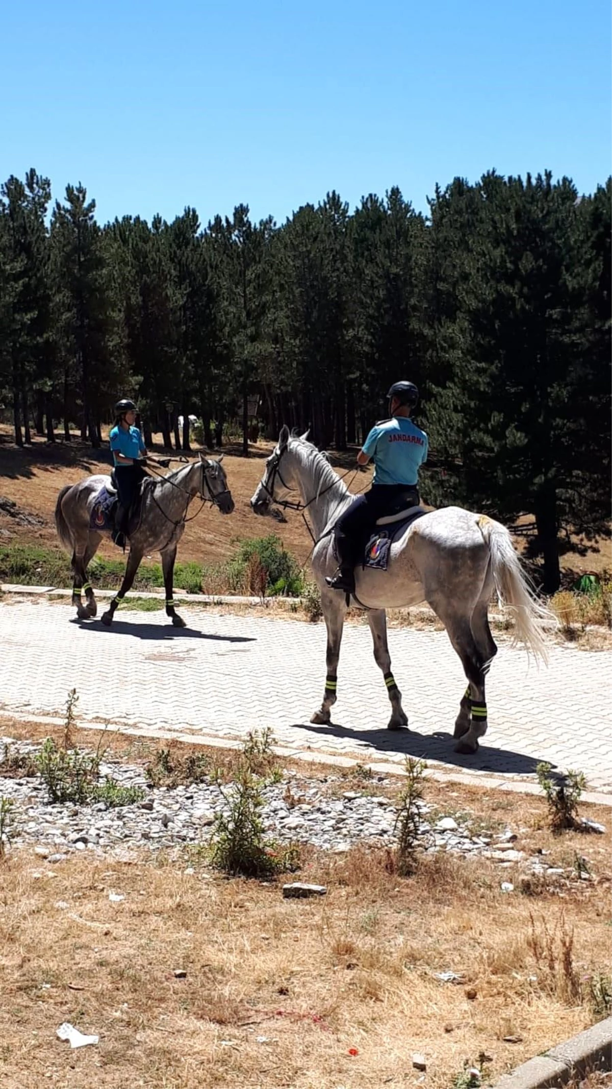 Afyonkarahisar\'ın Sandıklı ilçesindeki Akdağ Tabiat Parkı\'nda Atlı Jandarma Timleri Göreve Başladı
