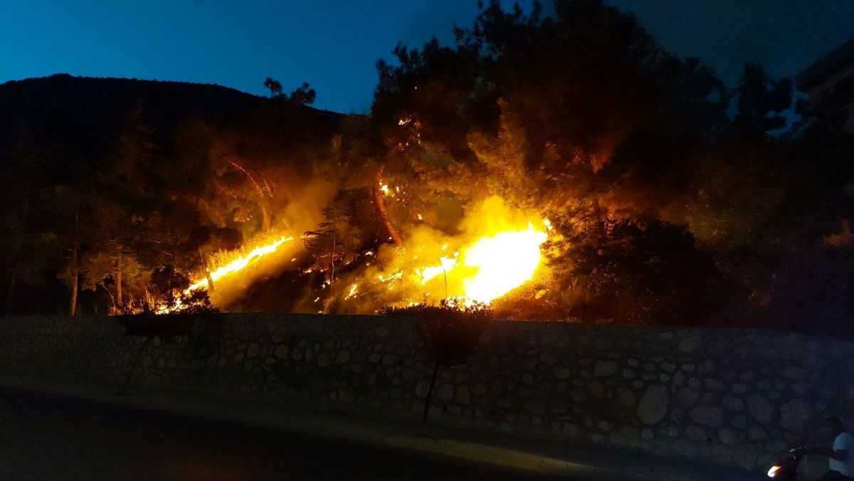 Amasya\'da çıkan orman yangını söndürüldü