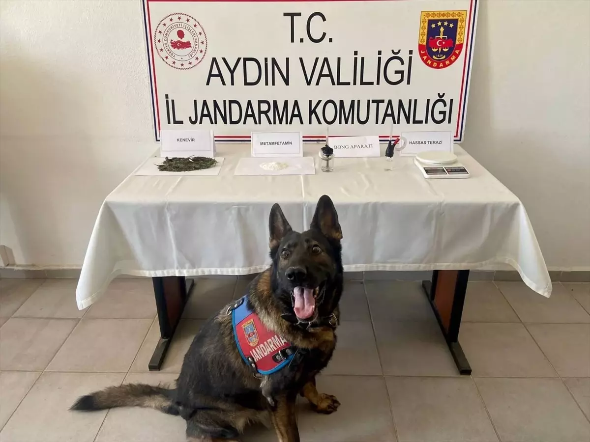 Aydın\'da uyuşturucu operasyonu: 2 gözaltı