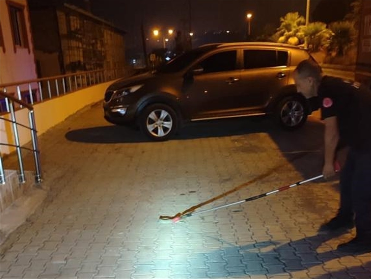 Belen\'de Paniğe Neden Olan Yılan Yakalandı
