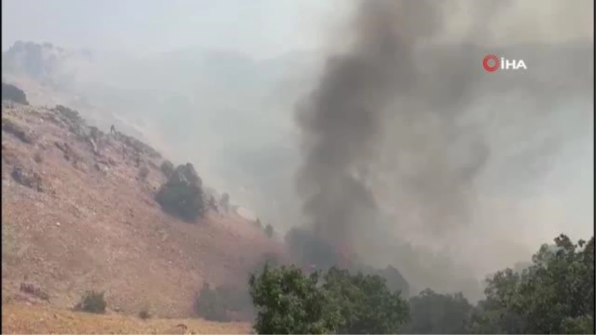 Bingöl\'de orman yangını: Havadan ve karadan müdahale sürüyor