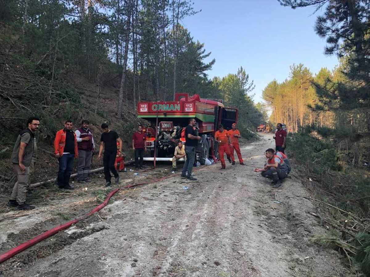 Bolu Kıbrıscık\'ta çıkan orman yangını hızlı müdahale ile söndürüldü