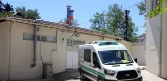 Gaziantep'te Köpekler Tarafından Parçalanmış Bebek Cesedi Bulundu