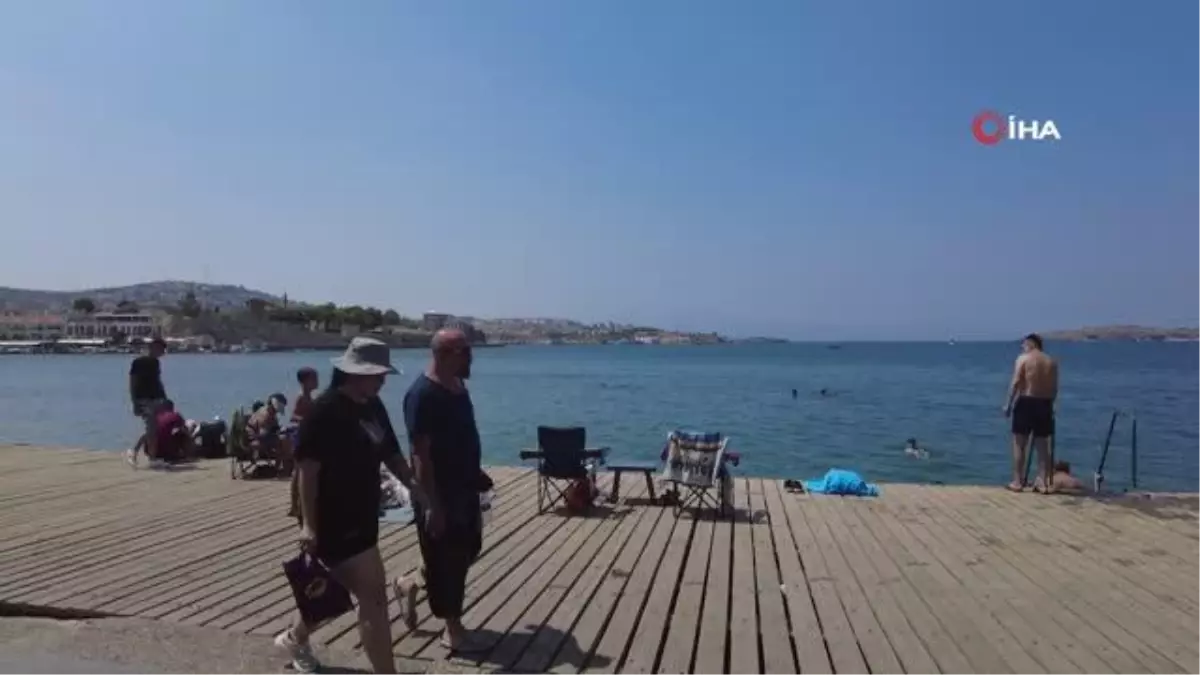 Foça'da Denizanası İstilası