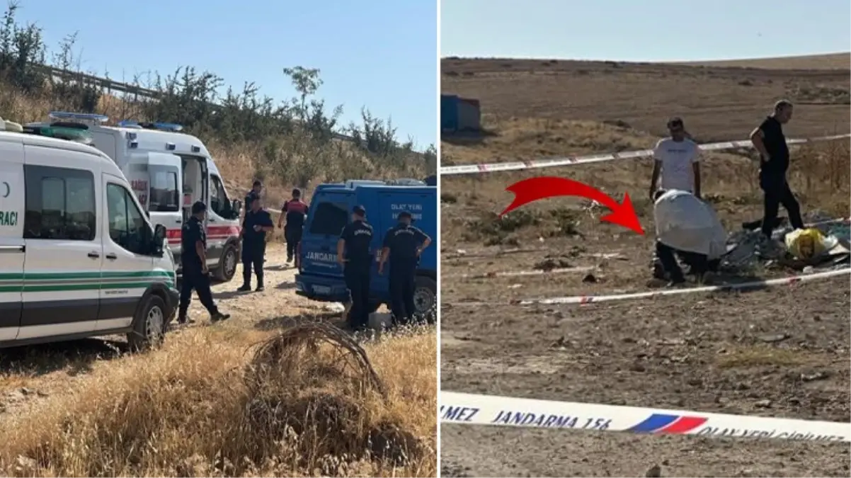 Boş arazide bulunan poşetten köpekler tarafından parçalanmış bebek cesedi çıktı