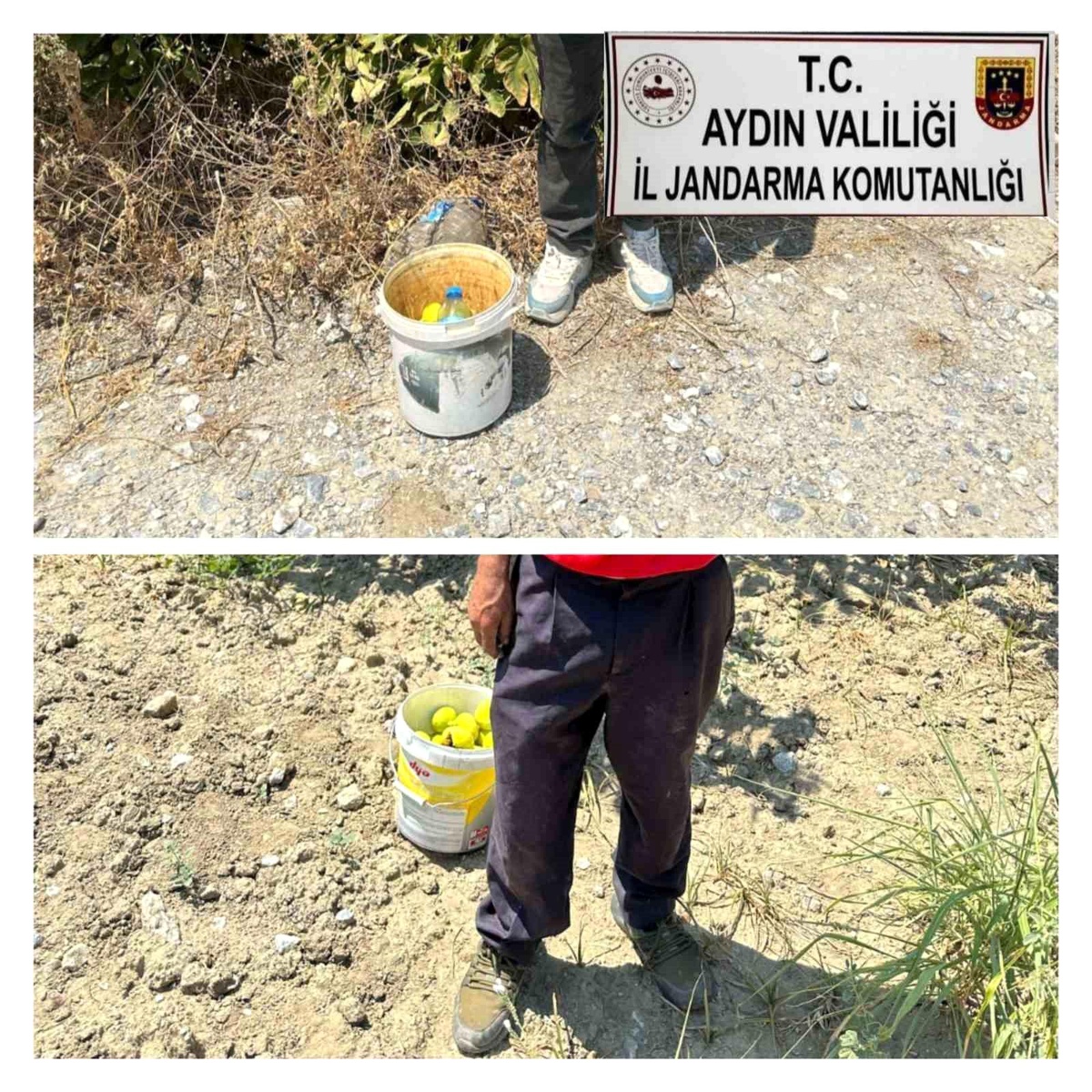 Aydın\'da 30 Kilogram İncir Çalan Hırsızlar Yakalandı