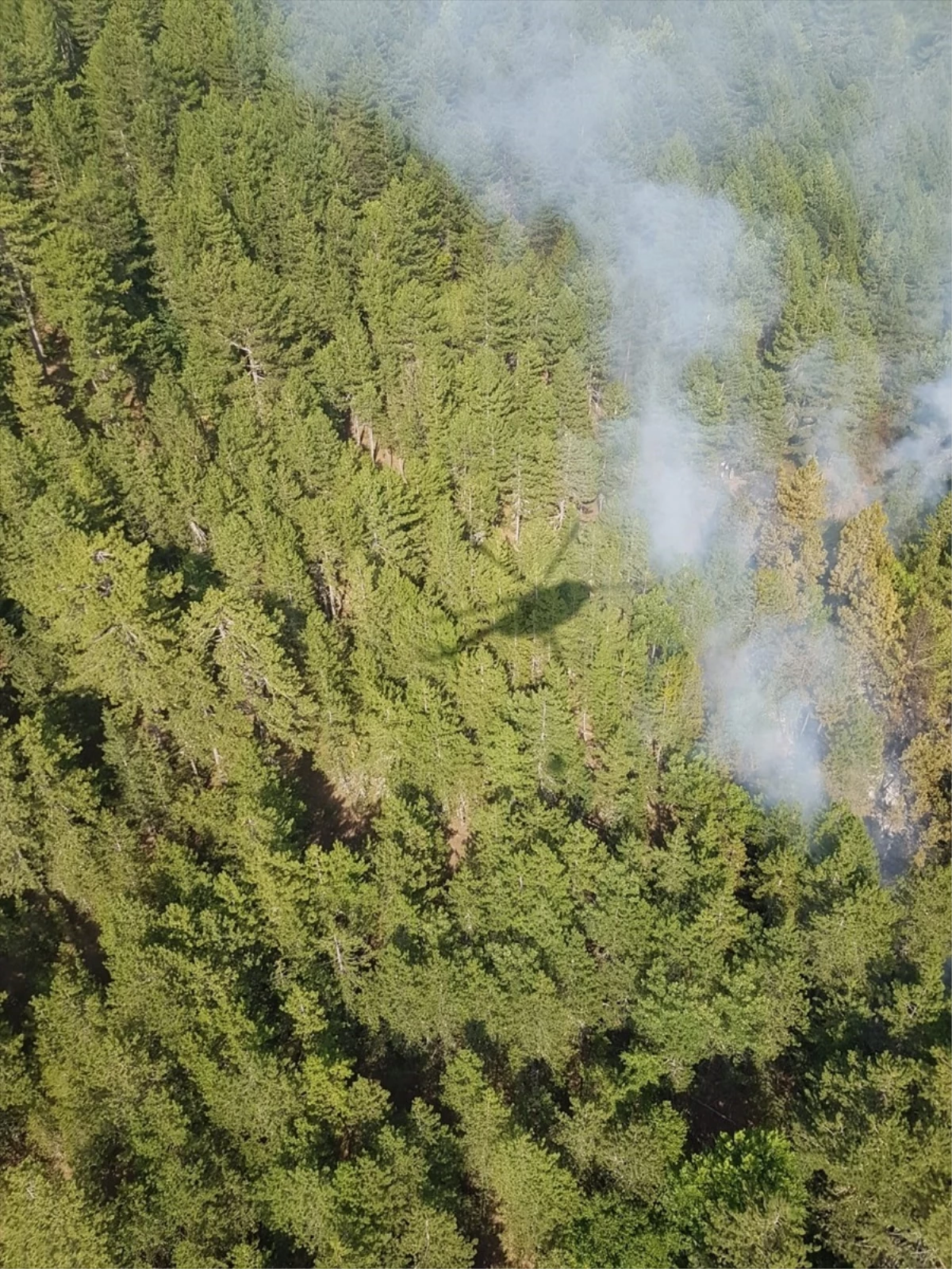 Demirci\'deki Orman Yangını Kontrol Altına Alındı