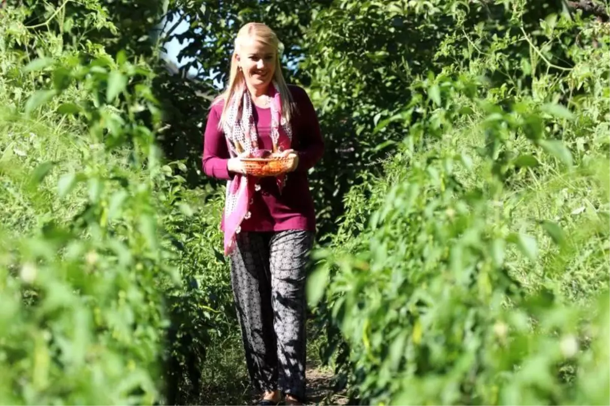 Merkezefendi Belediyesi Kırsal Kalkınma Eylem Planı ile 2 Milyon Kilogram Sebze Üretti