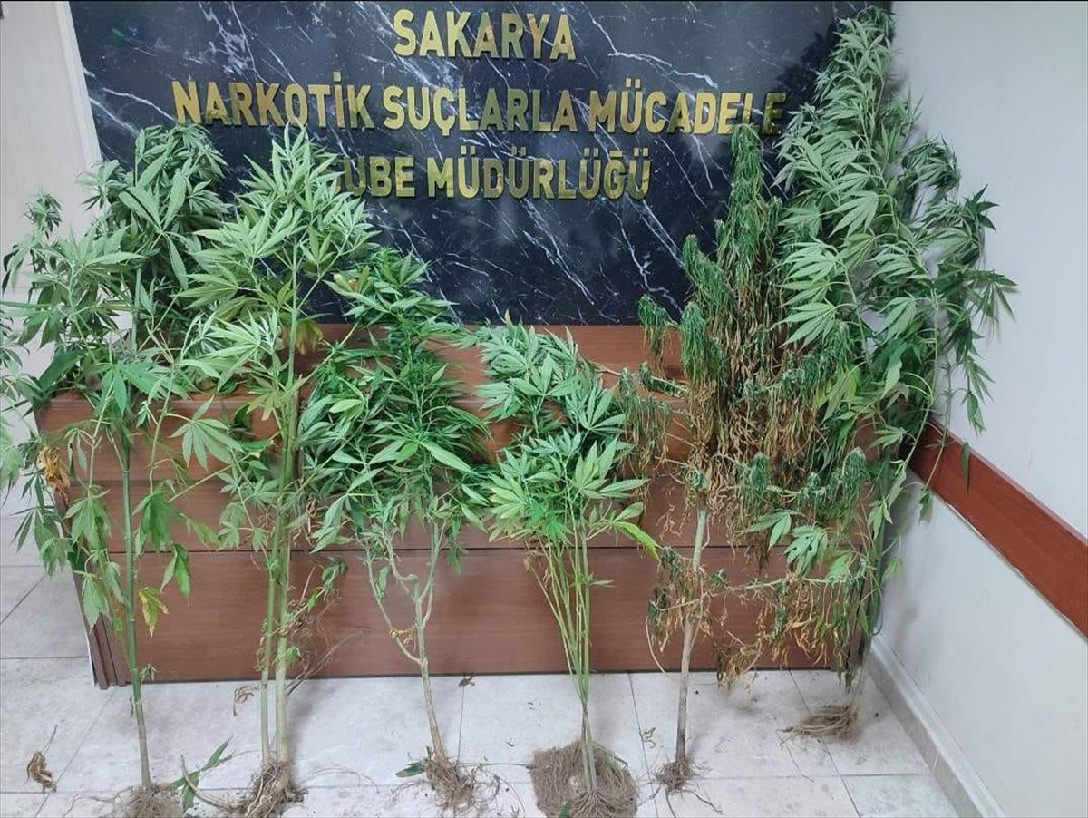 Sakarya\'da Uyuşturucu Operasyonunda 43 Şüpheliye Adli İşlem Yapıldı