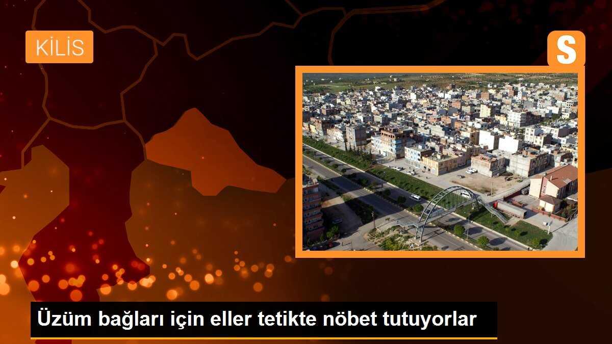Üzüm bağları için eller tetikte nöbet tutuyorlar