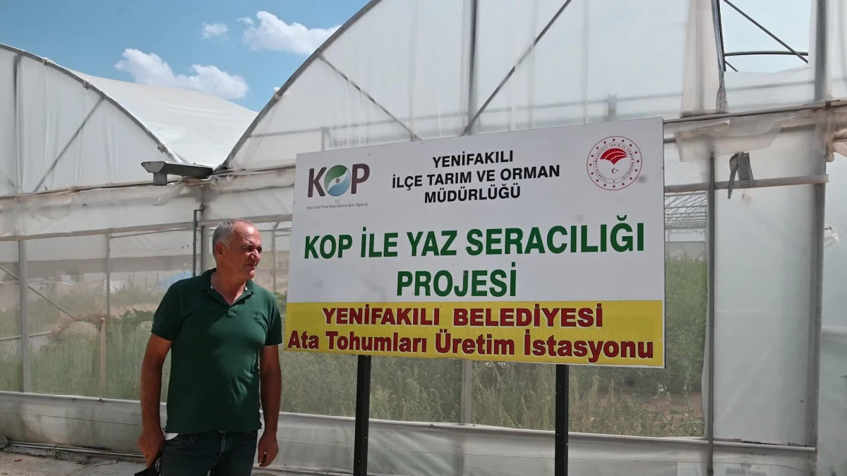 Yozgat\'ın Yenifakılı İlçesinde Yerel Tohumlar Çoğaltılıp, Halka Ücretsiz Dağıtılıyor