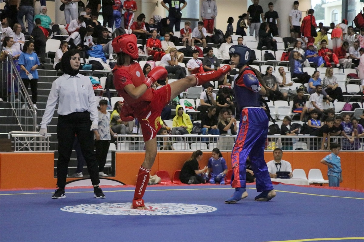 6. Açık Balkan Wushu Kung Fu Şampiyonası Edirne\'de başladı