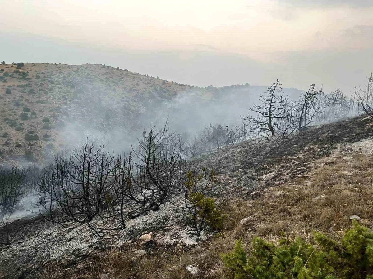 Afyonkarahisar\'da Orman Yangını Kontrol Altına Alındı