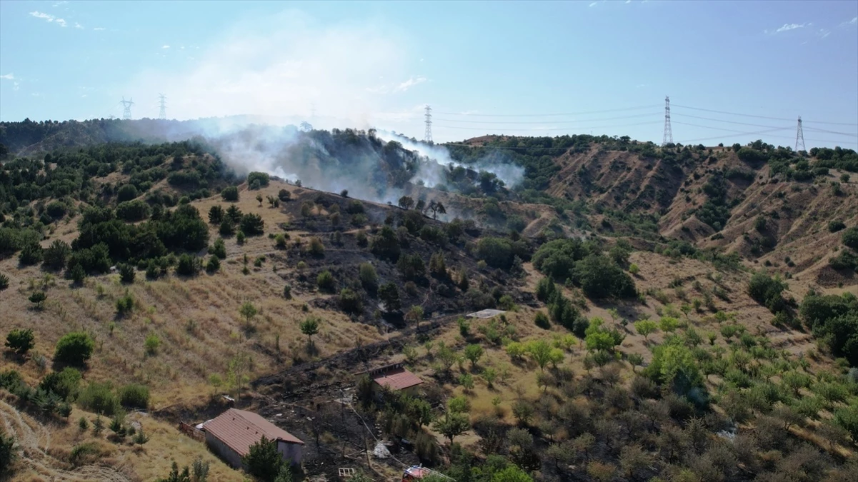 Ankara\'nın Çubuk ilçesinde orman yangını çıktı